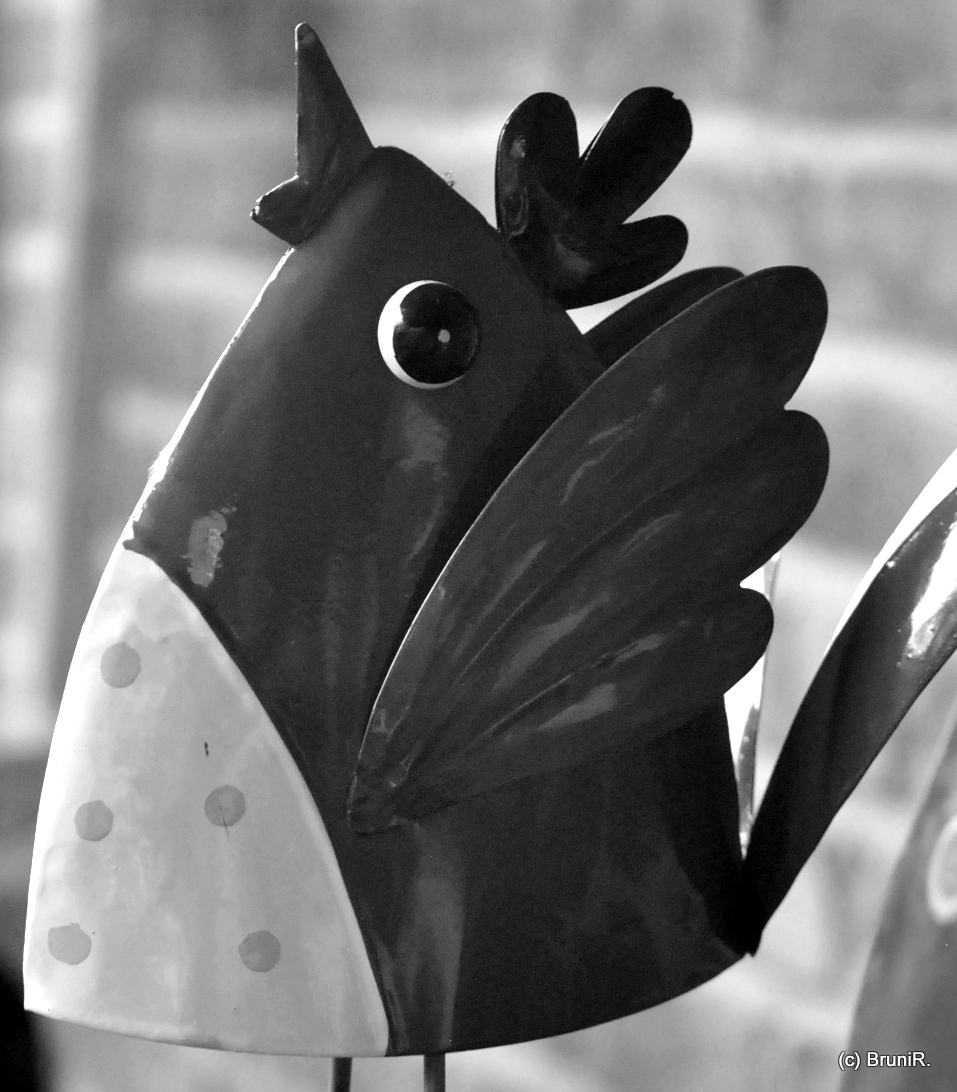 Die Vögel zwitschern es von den Dächern...