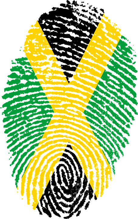 Die FDP konnte sich nicht mit einer Jamaika-Koalition identifizieren und hat die Sondierungsgespräche gestoppt. Foto: pixabay