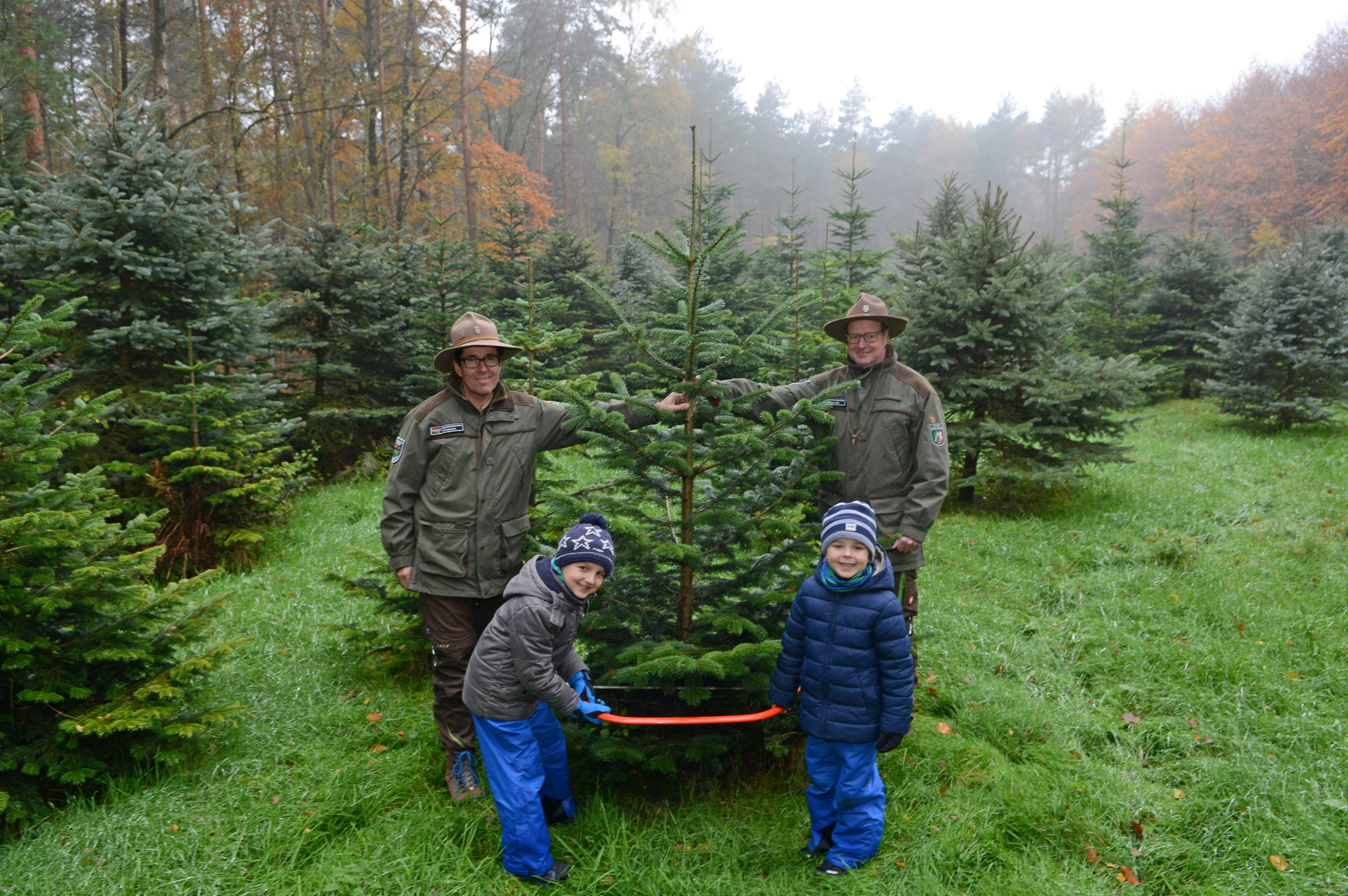 Die Ranger des RVR Ruhr Grün bieten in diesem Jahr Weihnachtsbäume zum Selberschlagen an.