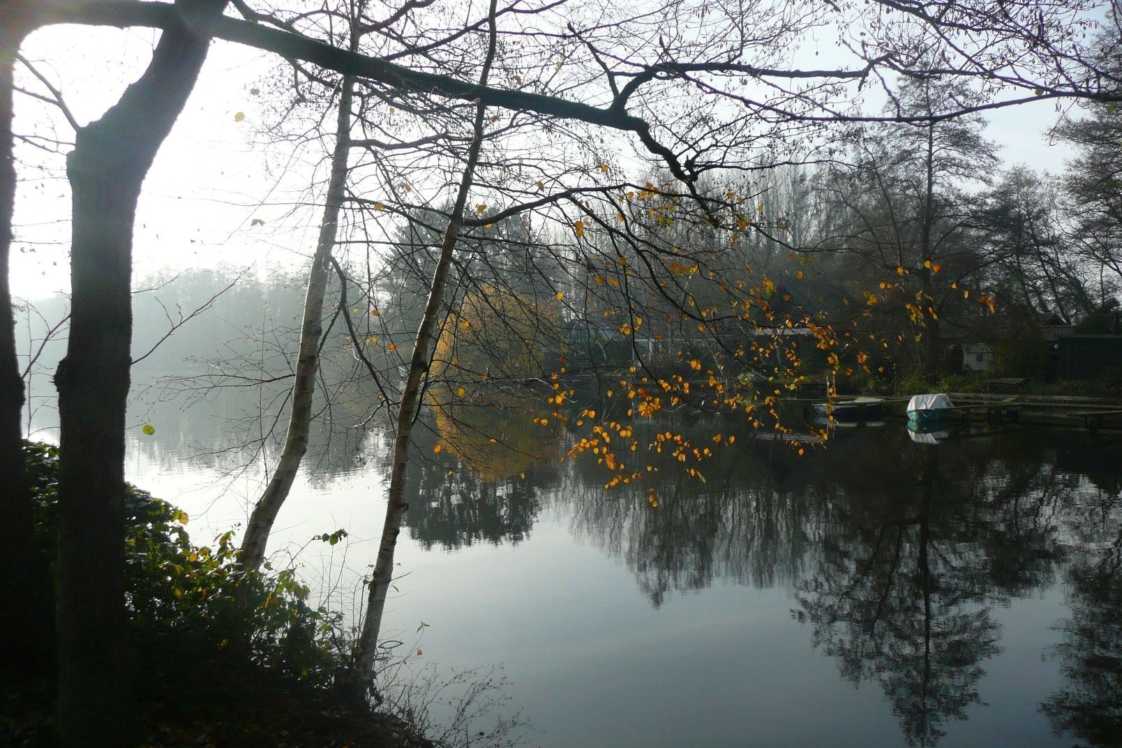 Herbst am Hariksee