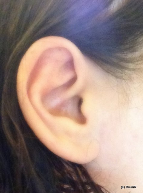 Wenn mich etws interessiert, dann bin ich GANZ OHR!  ;-)))