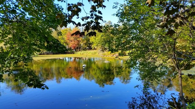 Der Natur lauschen ....