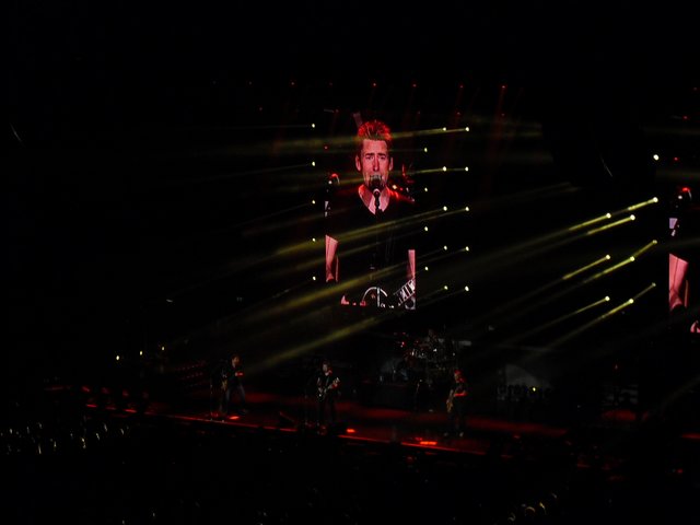 ´ne "Hammermucke" aus Kanada