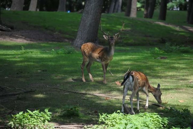 Zuhören entscheidet über Leben und Tod
