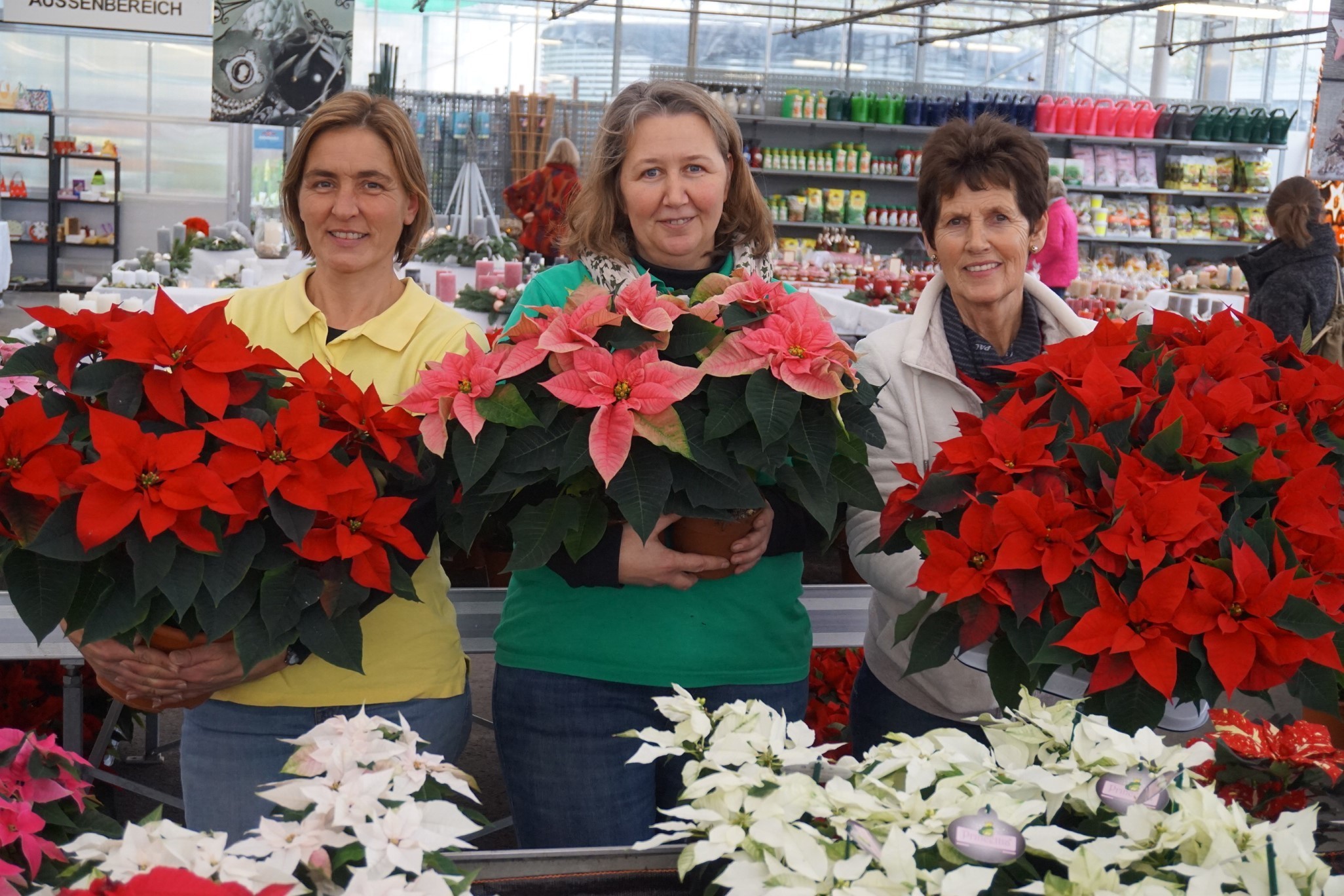 Die Weihnachtssterne sind ein beliebtes Geschenk, auch an sich selbst; von links: Heike Rösgen, Melanie Reinertz, Maria Stefen.
