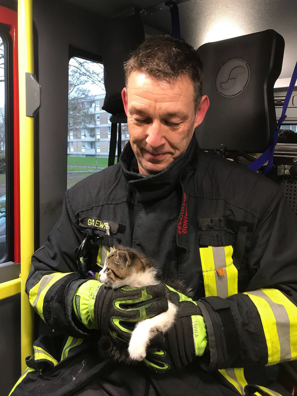 Happy End statt Katzenjammer: Die gerettete Katze im Löschfahrzeug auf dem Weg zur Feuerwache 6.