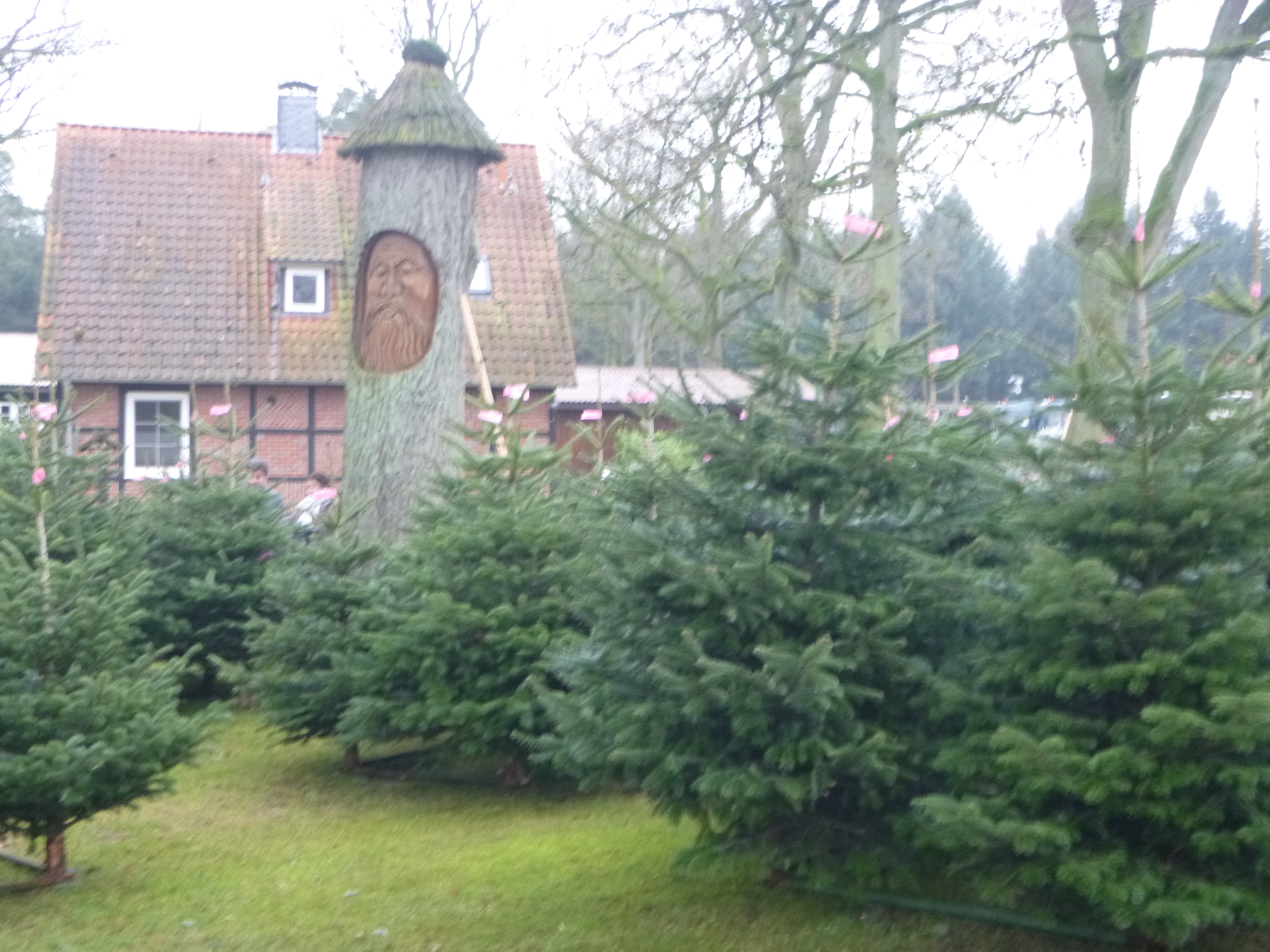Der Waldschrat überwacht hier alle Interessenten und Käufer/innen.