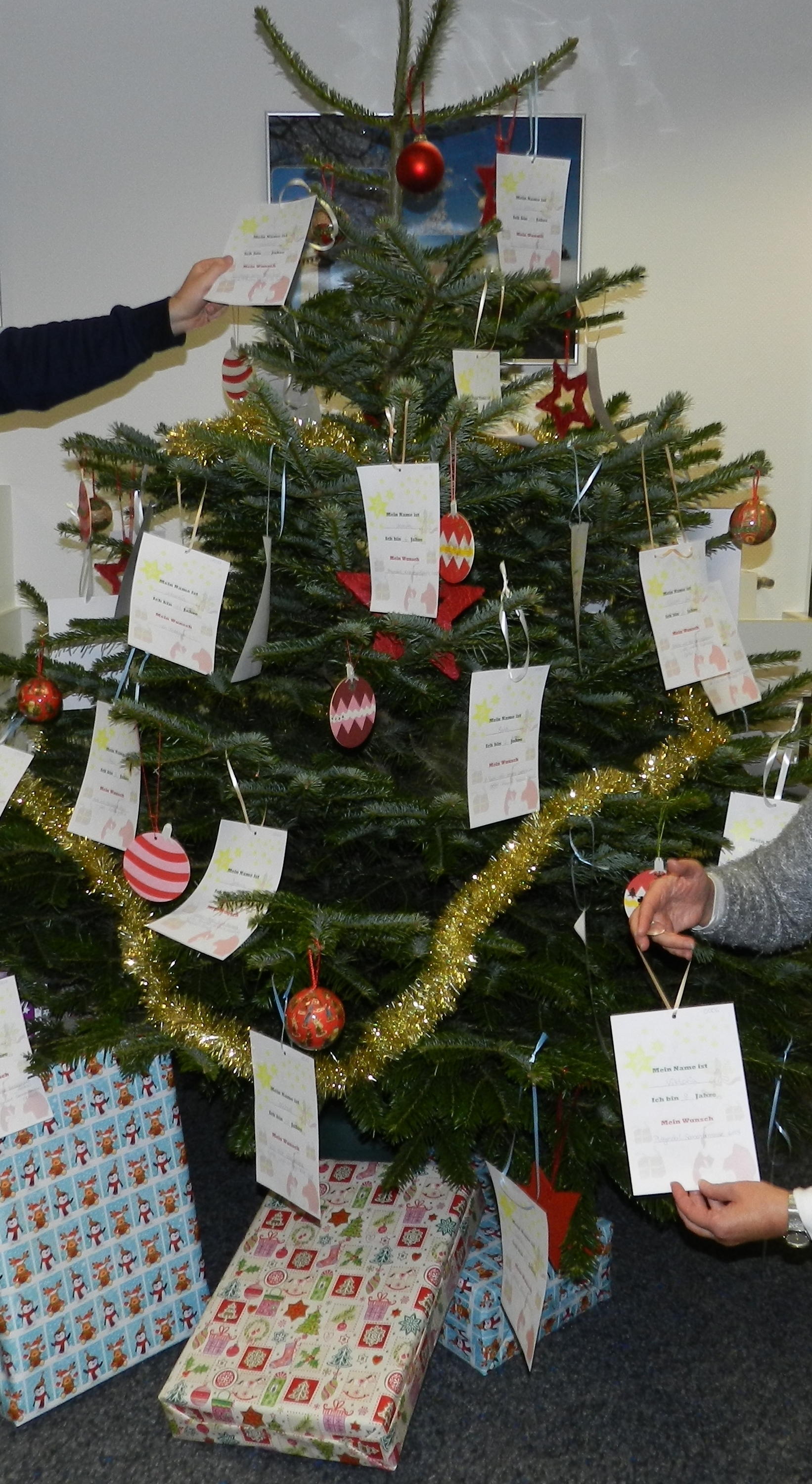 Der Wunschbaum steht im Bürgerbüro. ^Foto: Pospiech