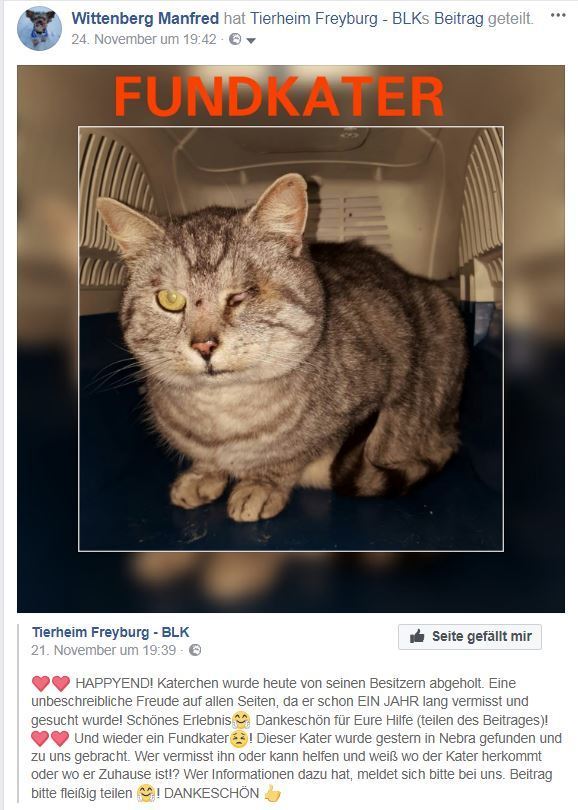 Pearli ist nach 14 Monaten wieder zu Hause !