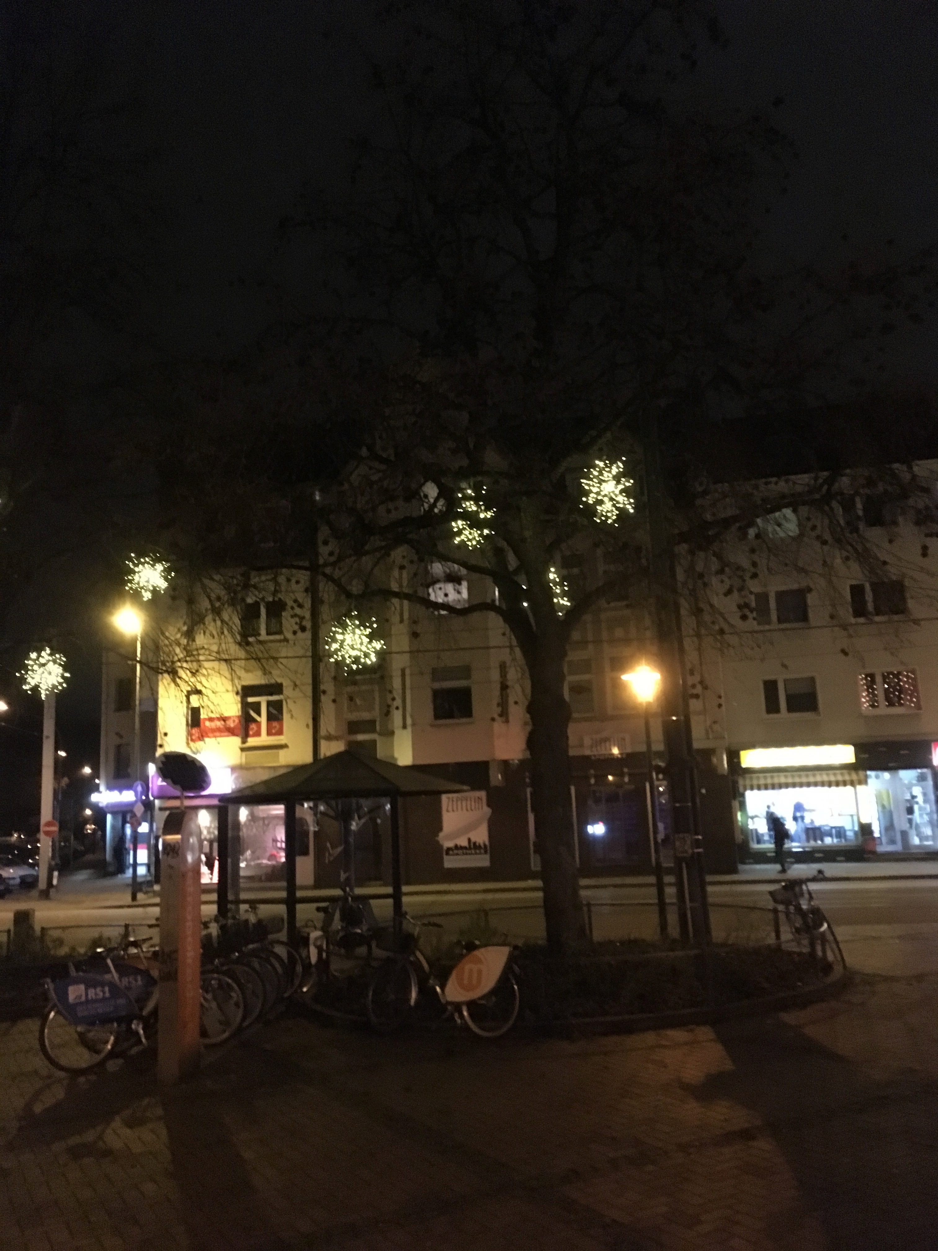 Vier große Gervinusbäume sind mit jeweils vier Leuchtsternen geschmückt...Doch nach zwei Tagen plötzlich eine Veränderung... Foto: Schattberg