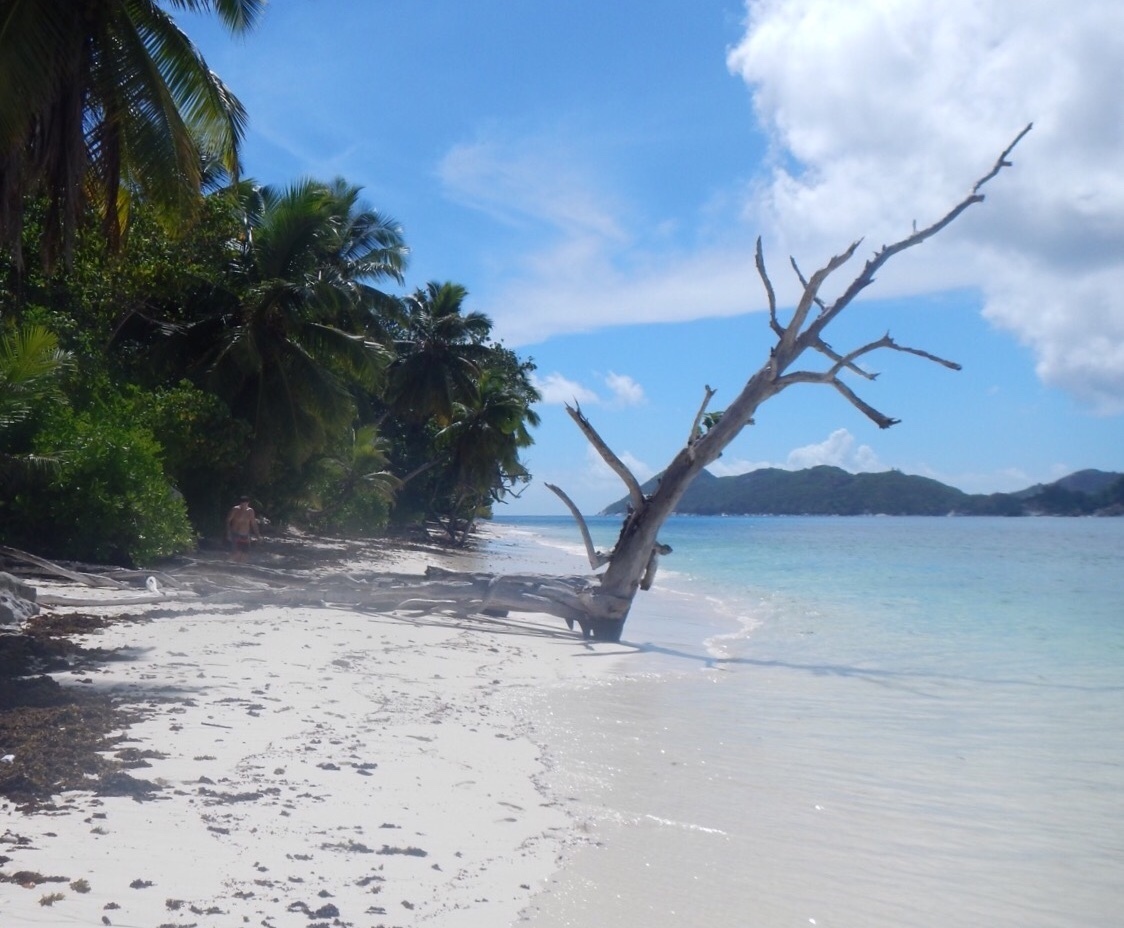 Die Republik Seychellen besteht aus etwa 115 Inseln. Der Inselstaat im Indischen Ozean gehört topografisch zu Afrika.