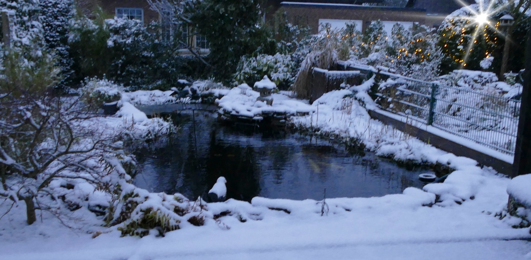 Still ruht der Teich