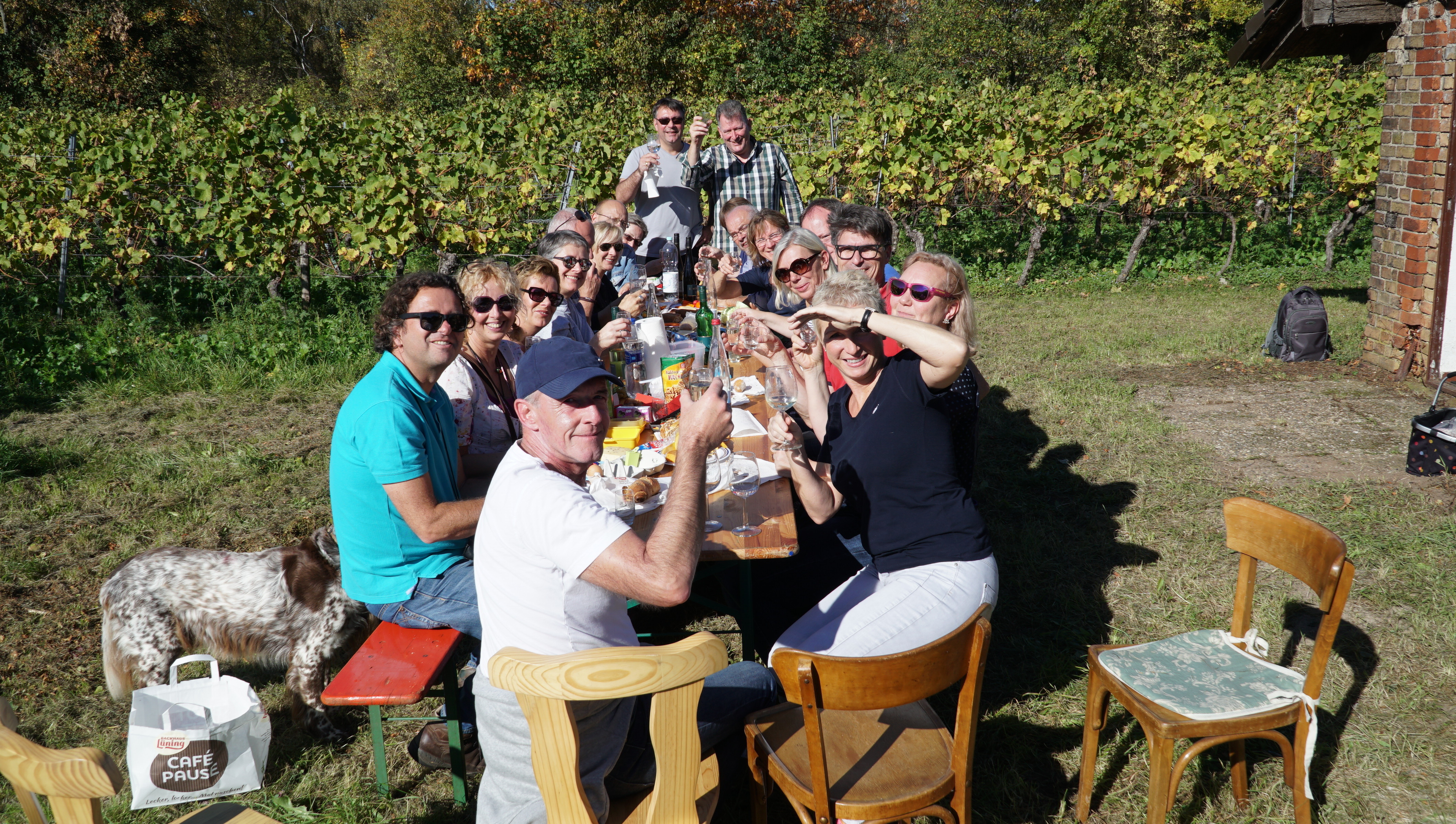 Rast im Weinberg nach der Ernte