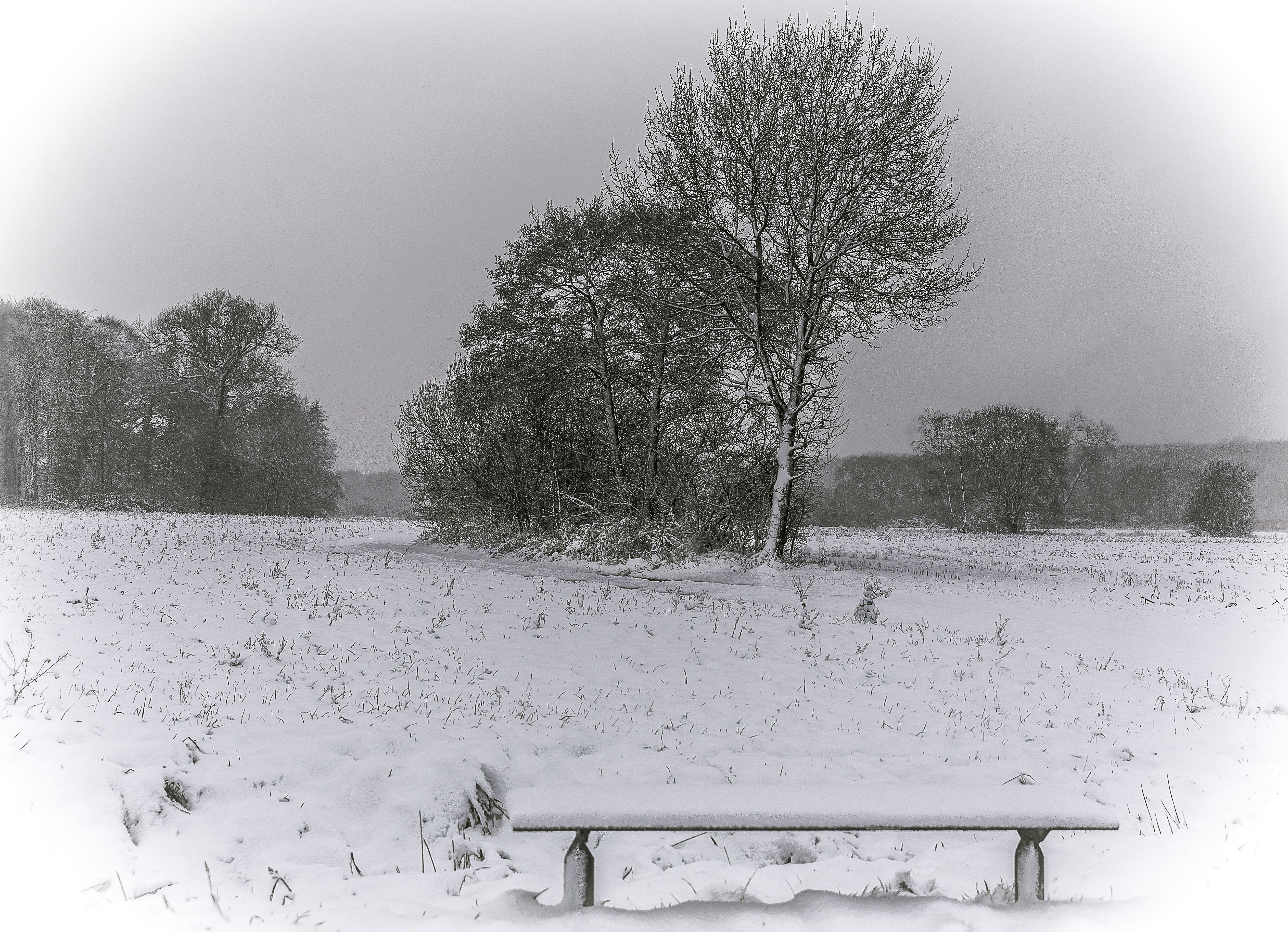 Am Wegesrand . . .