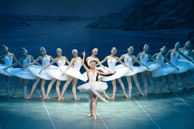 Das klassische Ballett "Schwanensee" überzeugt mit Anmut. Foto: Veranstalter