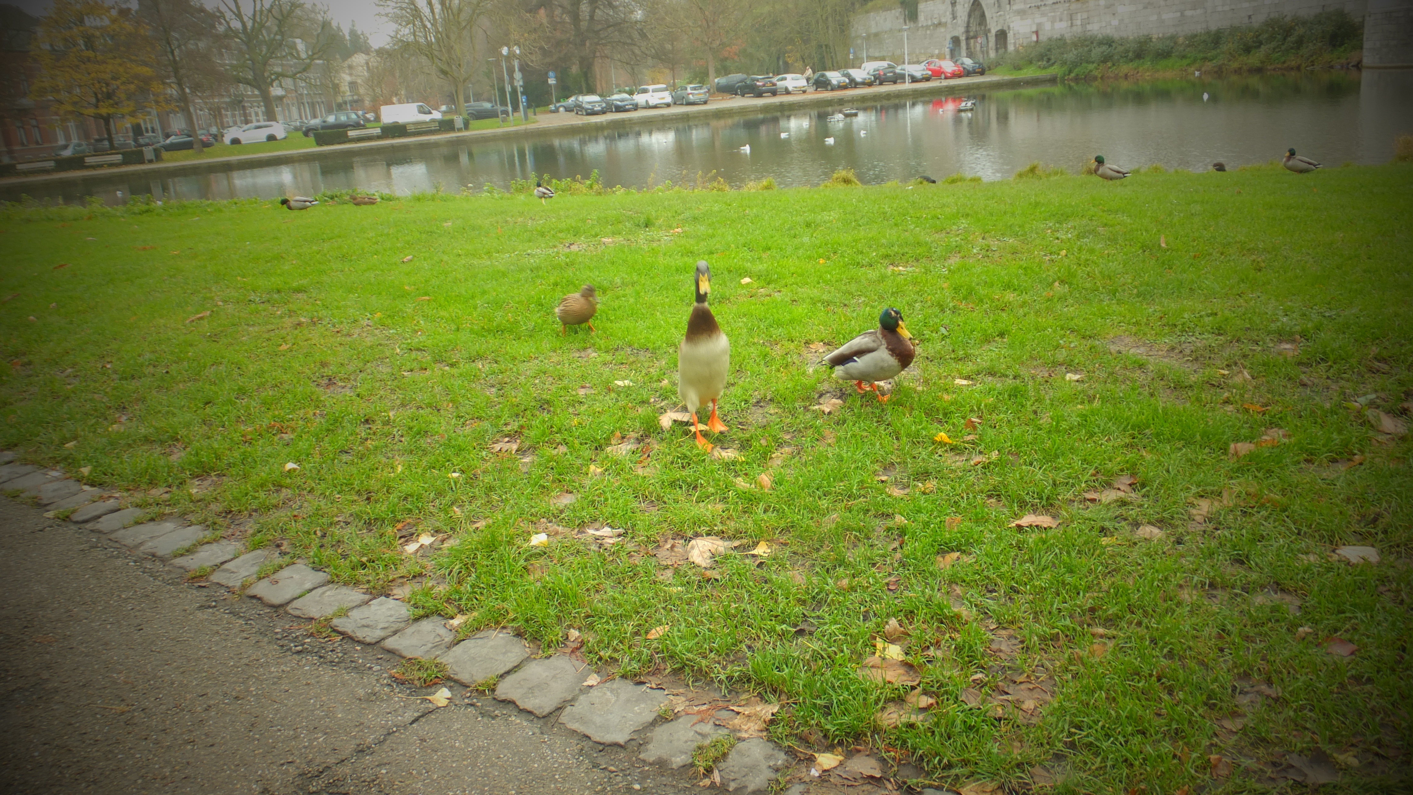Ein kleiner Park am Rande der Stadt
