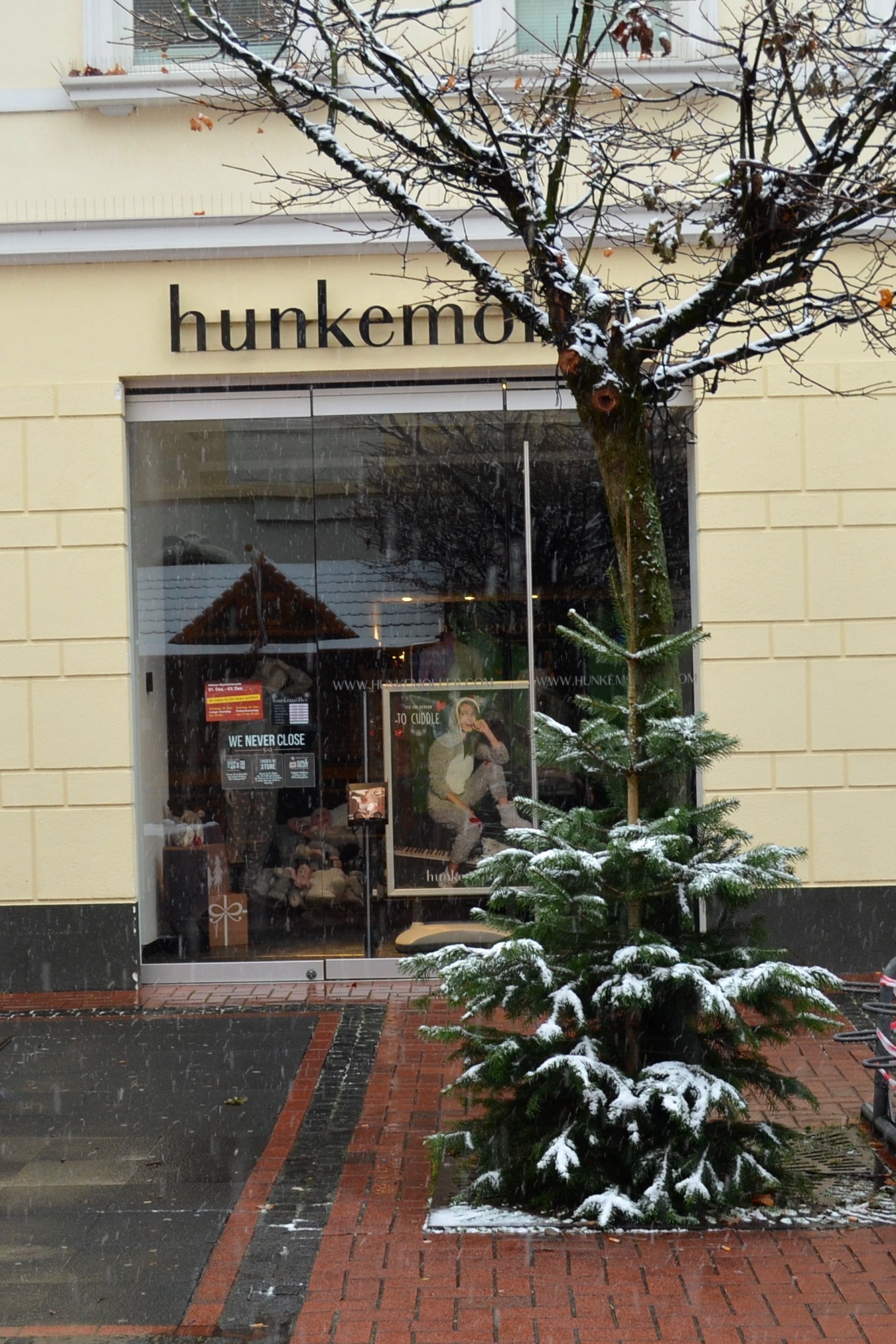 Die Bäume können ab 18. Dezember mitgenommen werden.