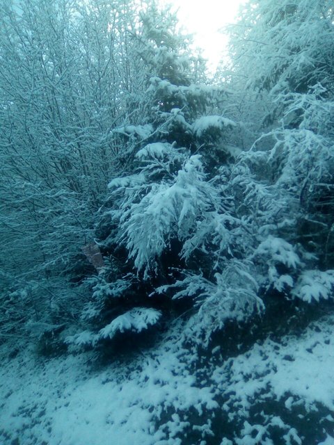 MHFC-Winterkurzfreizei