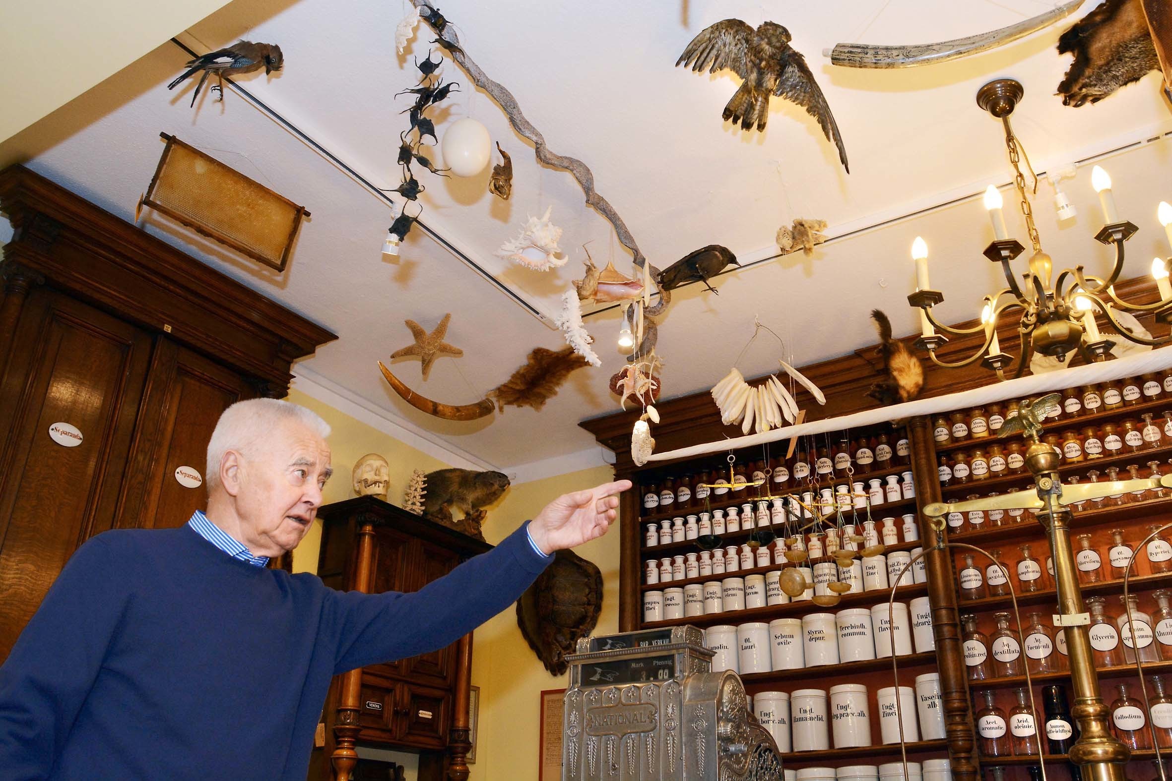 Unter der Decke des Apotheken-Museums von Hermann Ausbüttel hänge viele exotische Tierpräparate.