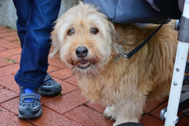 Diese Dame ist schon 18 Jahre alt!!!!! Ja. Richtig gelesen.