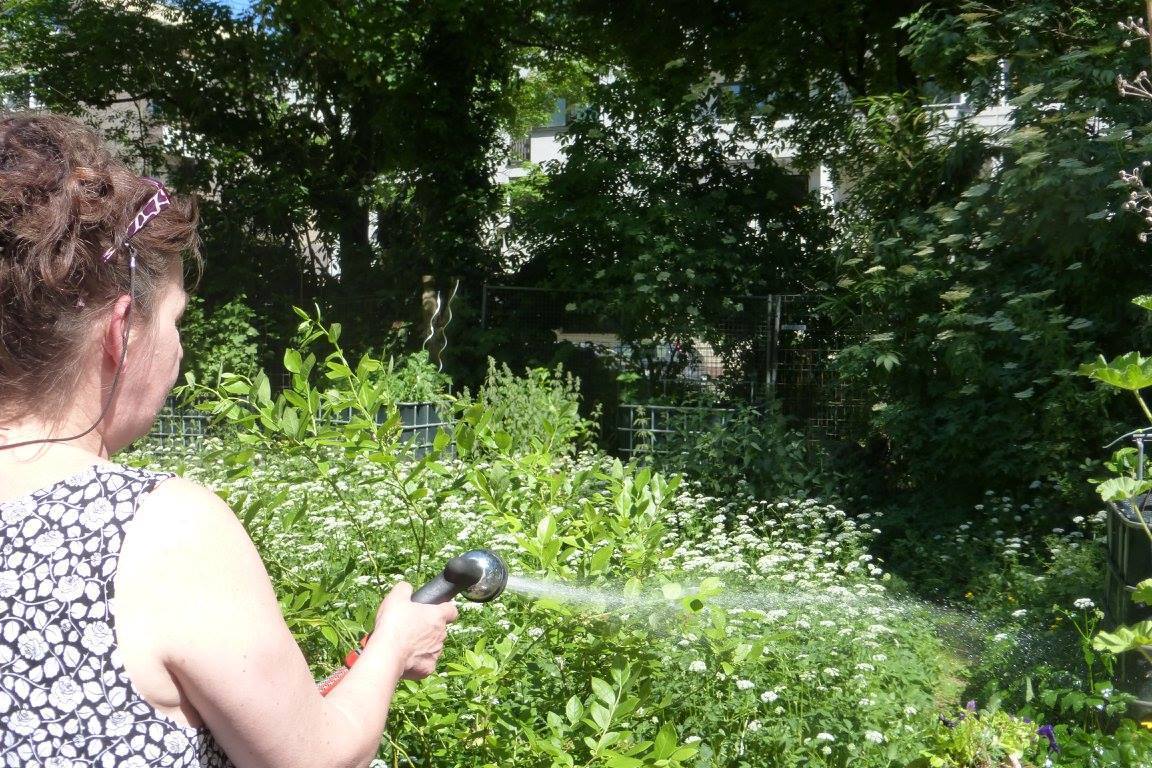 Frau Dr. Claudia Schaefer pflegt Tiere und Pflanzen im cubusgarten