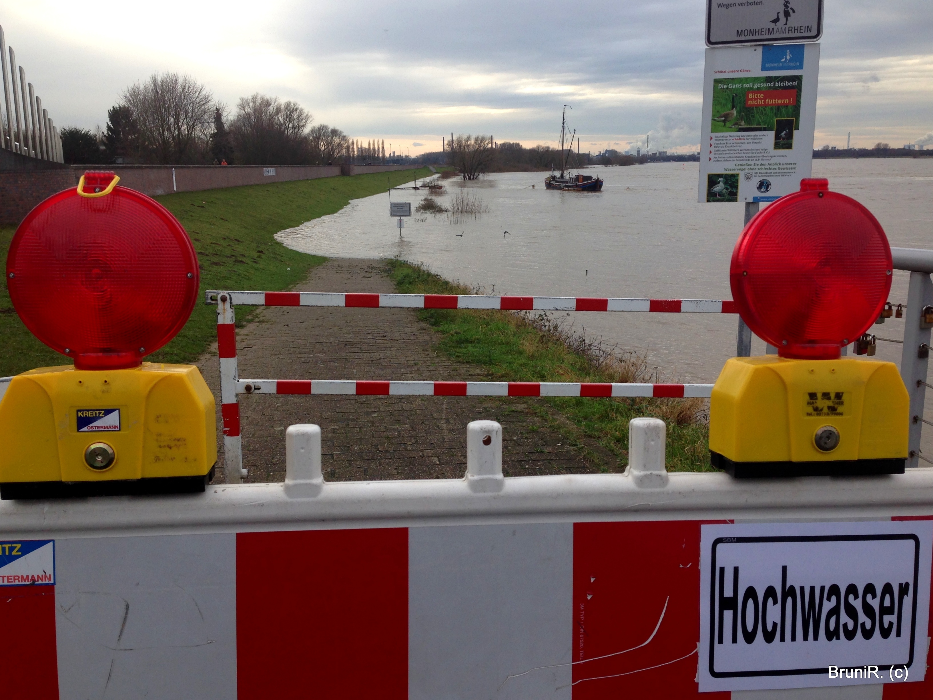 Hochwasser in Monheim an der Rheinpromenade!