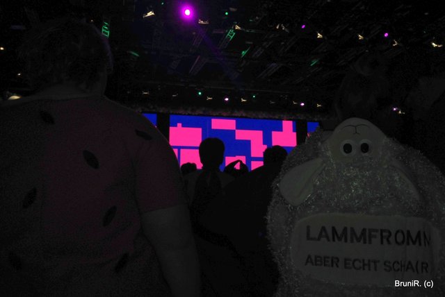 Wenn wir saßen, was überwiegend der Fall war, dann sahen wir das hier!!!