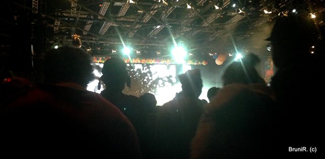 Unser "Sichtschutz"  ;-)))