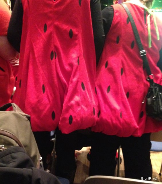 Die FRÜCHTCHEN vor uns...