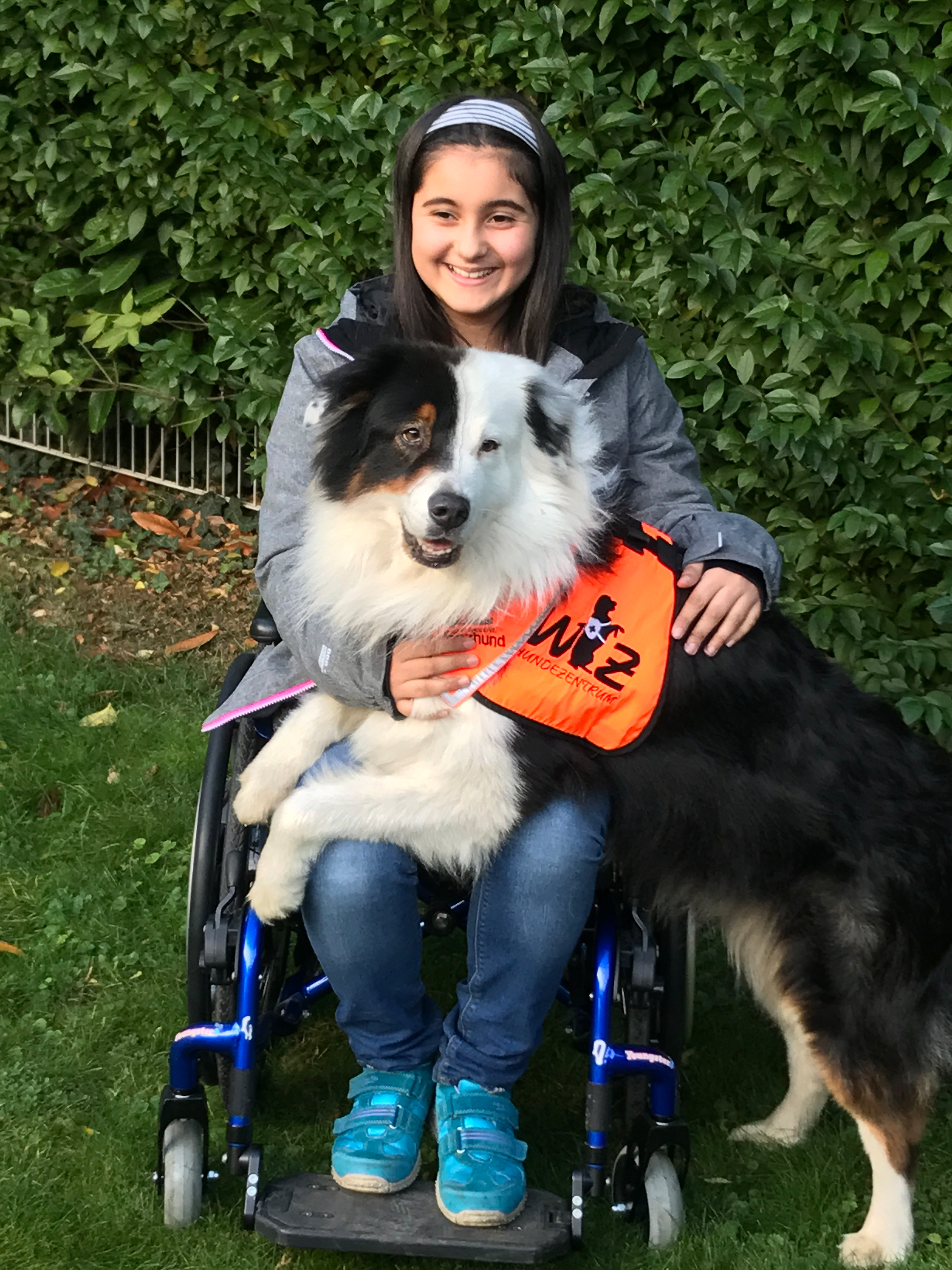 Ein Assistenzhund wie dieser wird schon bald Antonia in ihrem Alltag unterstützen.