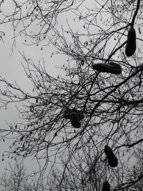 ....und staunte nicht schlecht..