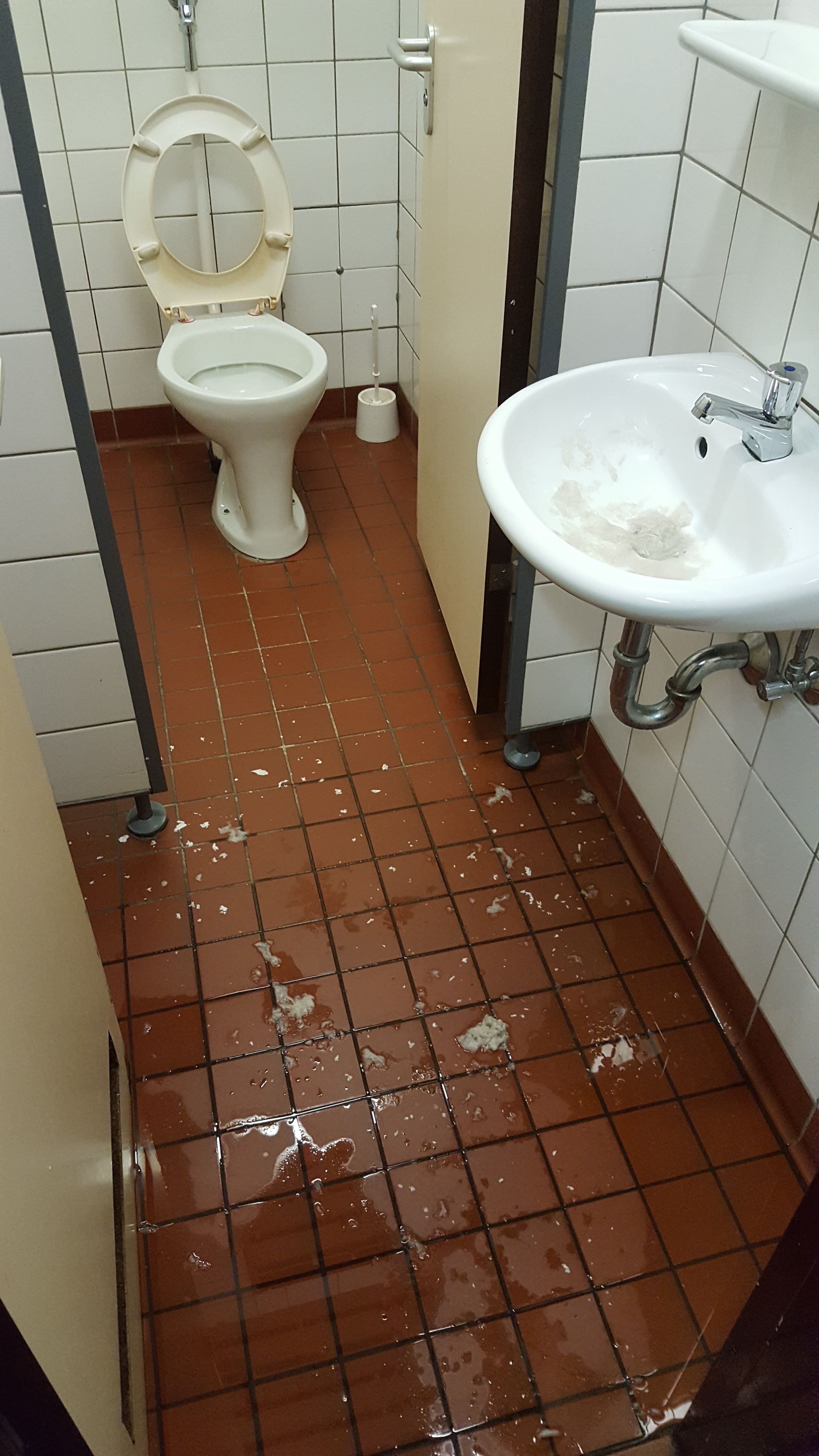 Kein schöner Anblick? VC-Vorsitzender Michael Werzinger bemängelt den Zustand der Toiletten in der Sporthalle Prinzenstraße. Fotos: VC Borbeck