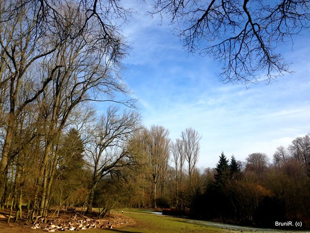 Strahlend blauer Himmel und die Rehe halten Mittagsruhe