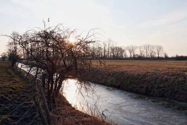 Wetering in der Morgensonne