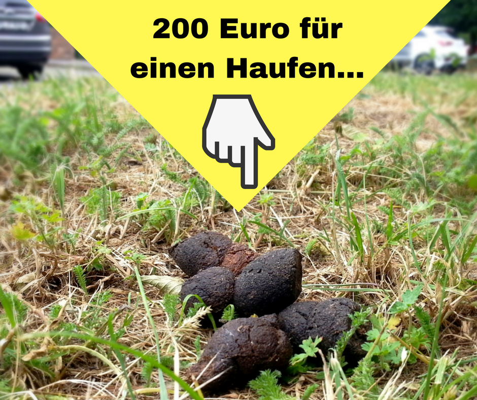 ...muss man in Werne bezahlen. Das Bußgeld für liegen gelassene Hundehaufen wird von 35 Euro deutlich angehoben.