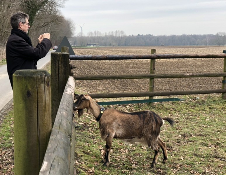 Ziegen bitte nicht füttern!
