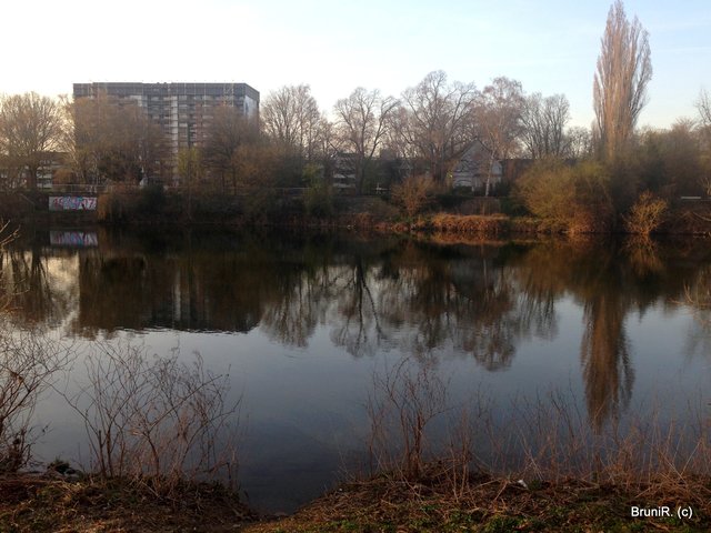 Schöne Spiegelungen an der Ruhr