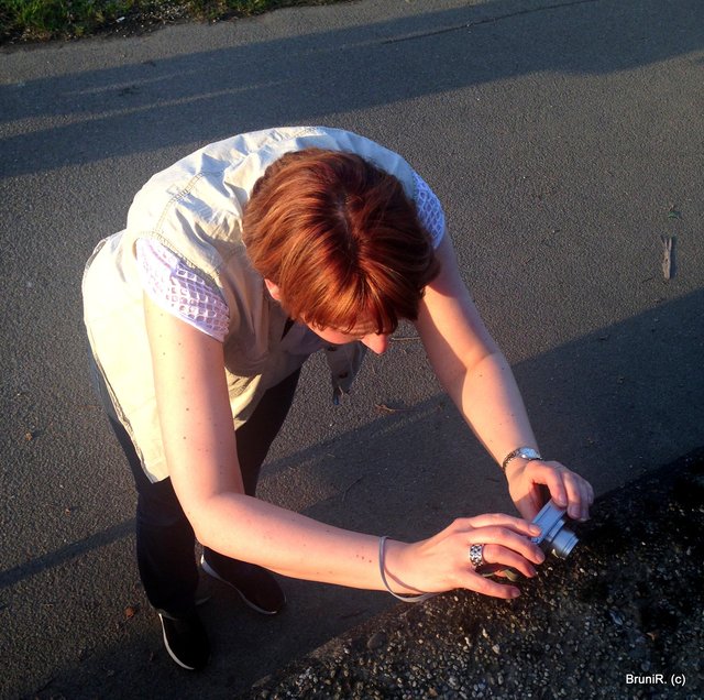 Hier hat ANA die Lilly geknipst! Foto ist im Bild der Woche zu bewundern! http://www.lokalkompass.de/velbert/spass/einfach-mallaenger-draussen-geniessen-m4410998,863231.html