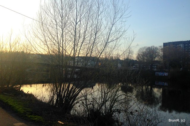 Gegenlicht und Spiegelung!