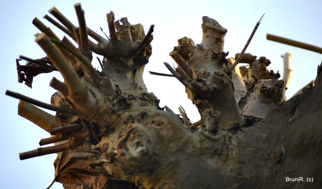 Interessaante Gebilde...