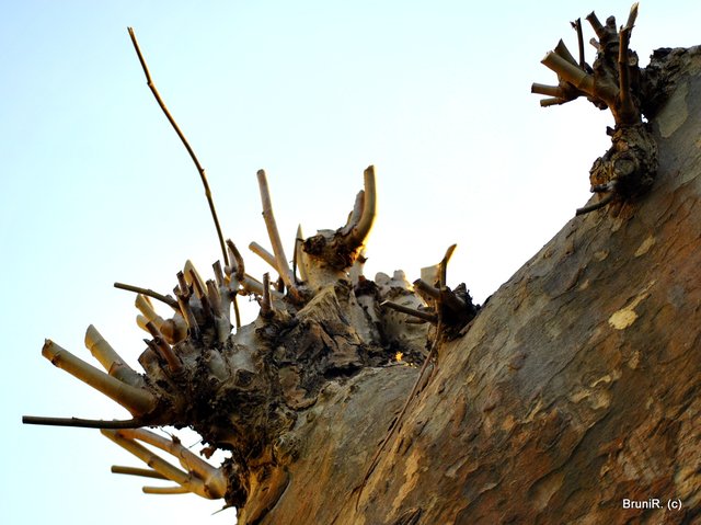 Im Vollbild besser zu sehen!