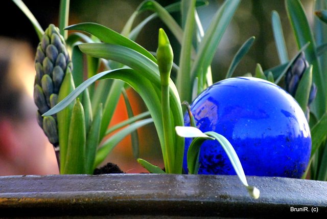 In der blauen Kugel spiegelt sich das Haus!