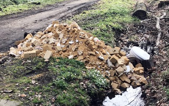 Bauschutt ist im Wittringer Wald definitiv an der falschen Stelle entsorgt. Dafür sollte es andere, legale Möglichkeiten zu genüge geben.
