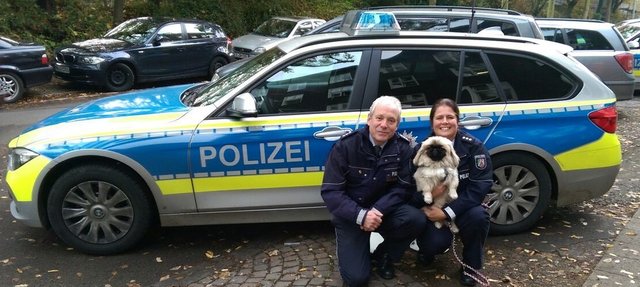 Ein eingespieltes Team: Polizeihündin Peng mit den Hauptkommissaren Florence Butler und Stephan Boscheinen.