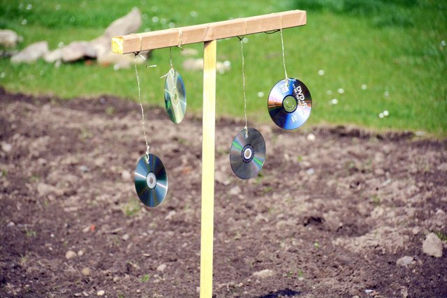 CDs an Holzgestellen sorgen für Vogelvergrämung.