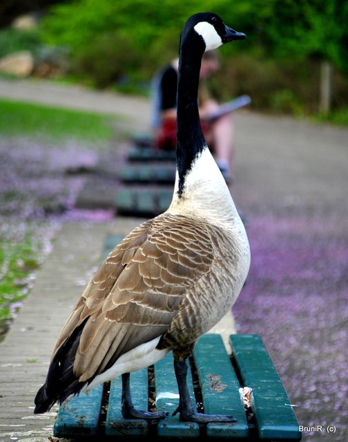 Die junge Frau im Hintergrund schaute ab und zu zu!
