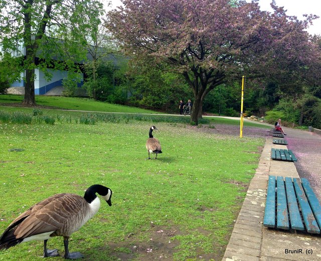 Sie war aber nicht allein...