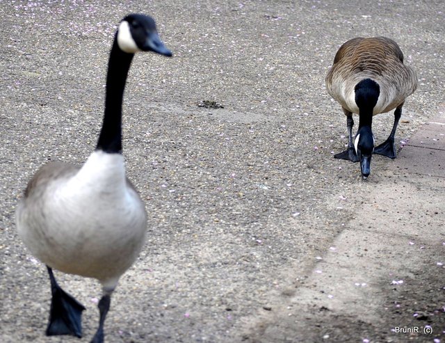 Zwei, die sich sehen lassen können!