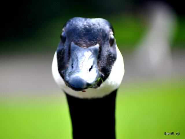 Bin ich nicht schön?!?