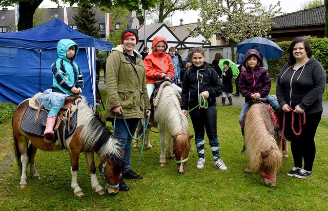 Immer wieder eine Attraktion: die Ponys von Bauer Brömse. | Foto: Archivfoto Debus-Gohl